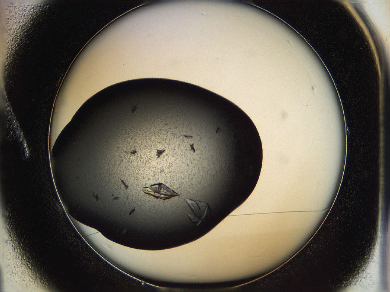 0630_A1_ImagerDefaults_9.jpg