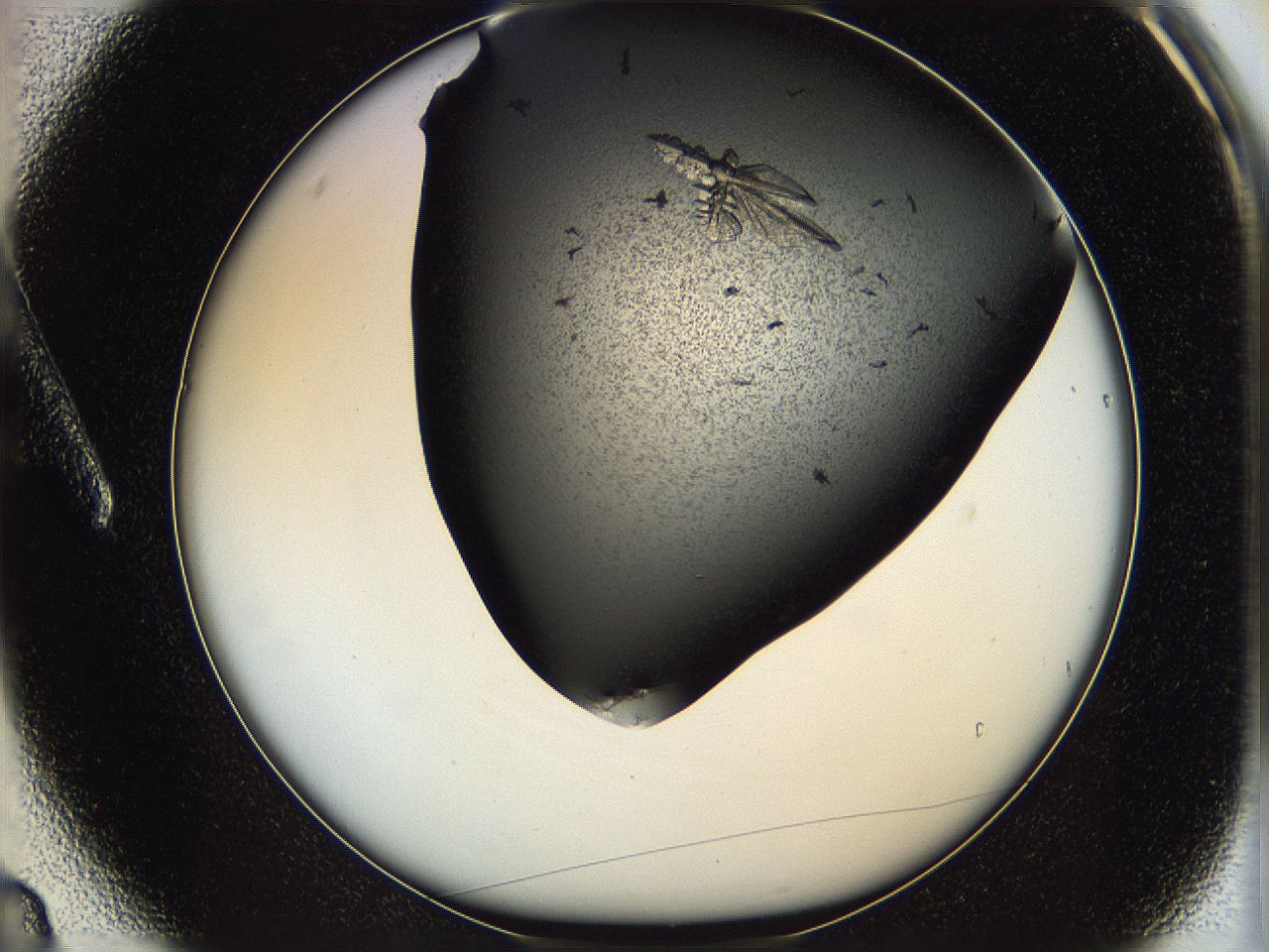 0630_A3_ImagerDefaults_9.jpg