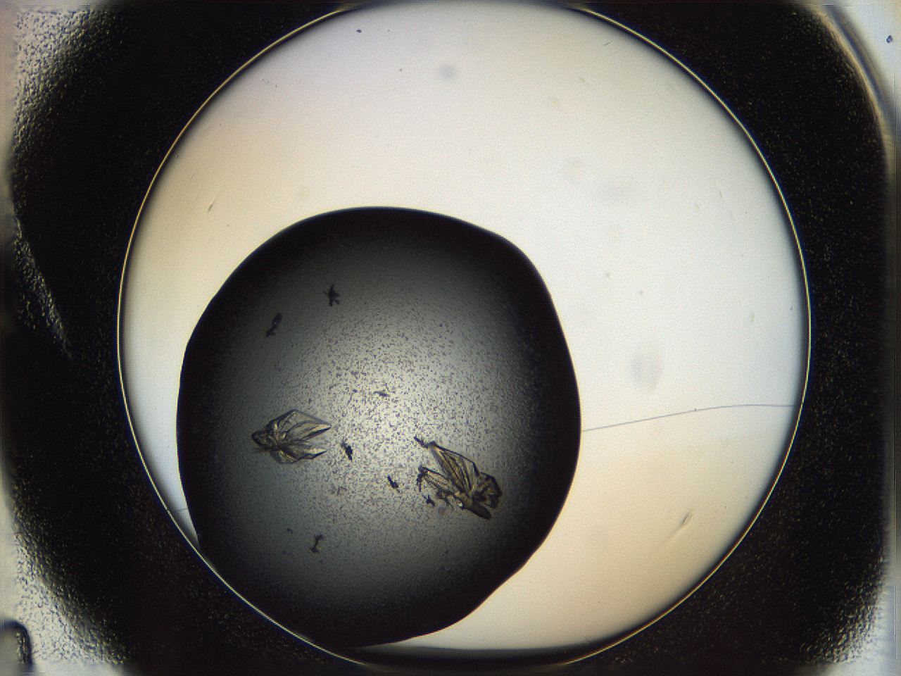 0630_A4_ImagerDefaults_9.jpg