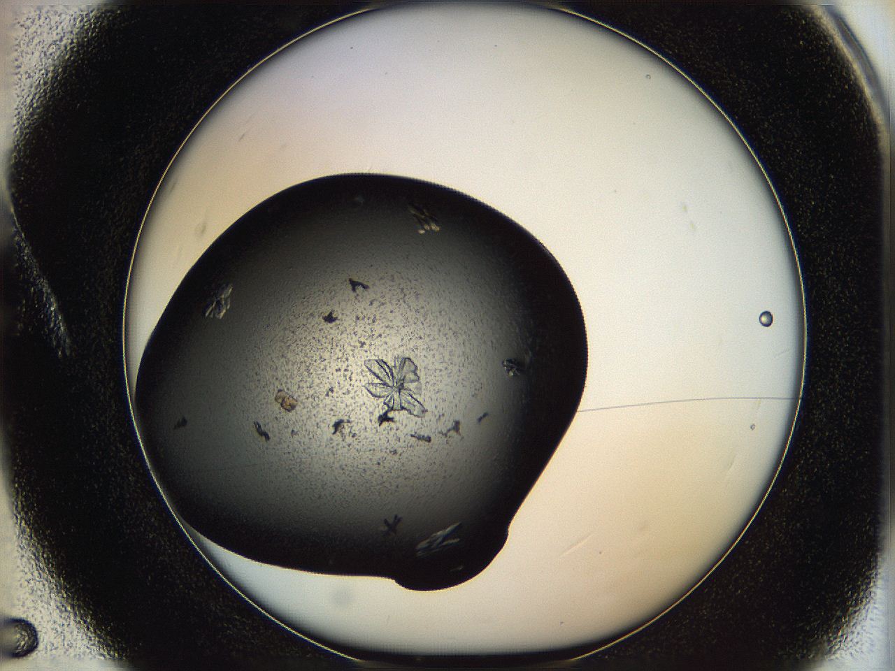 0630_A5_ImagerDefaults_9.jpg