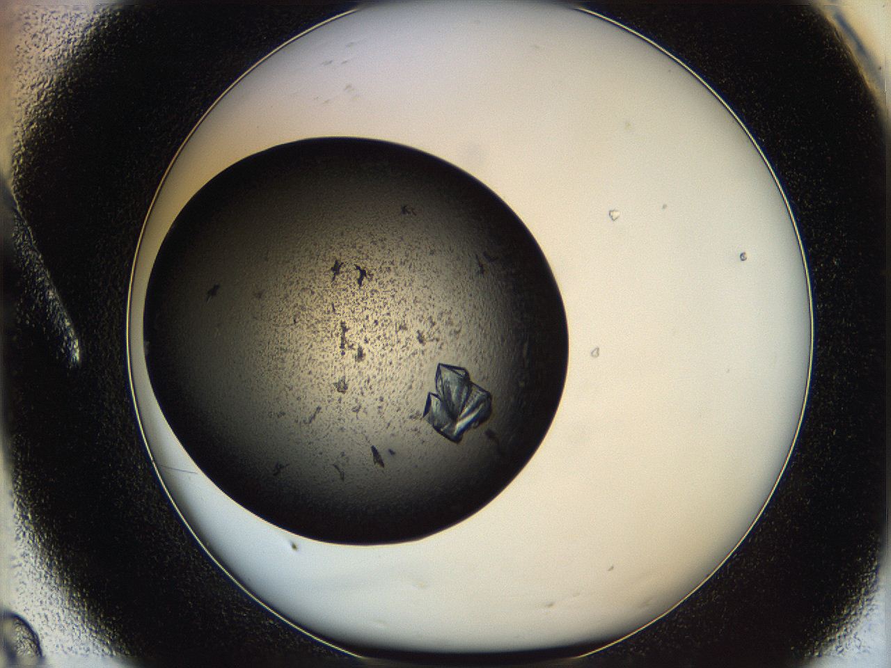 0630_A8_ImagerDefaults_9.jpg