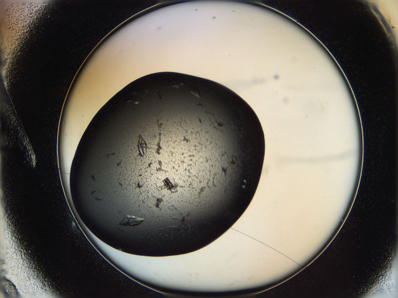 0630_A9_ImagerDefaults_8.jpg