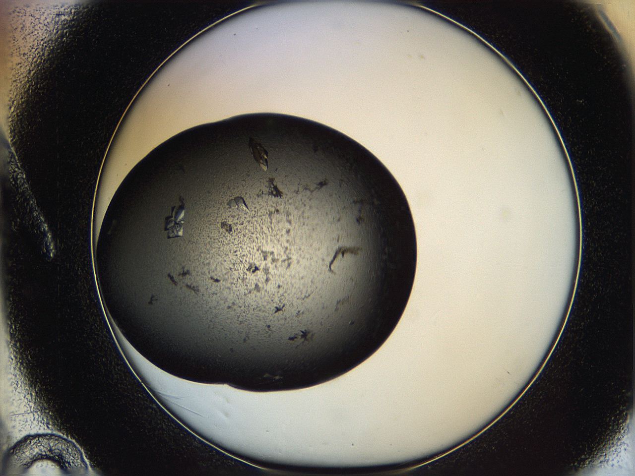 0630_A10_ImagerDefaults_8.jpg