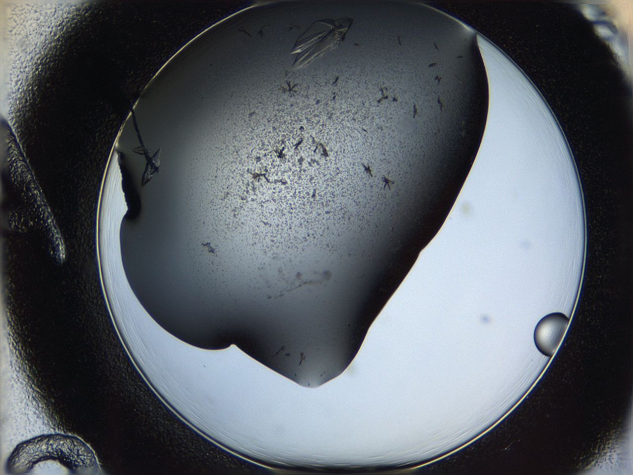0630_A12_ImagerDefaults_9.jpg