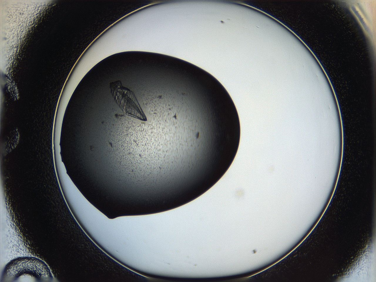 0630_C10_ImagerDefaults_9.jpg