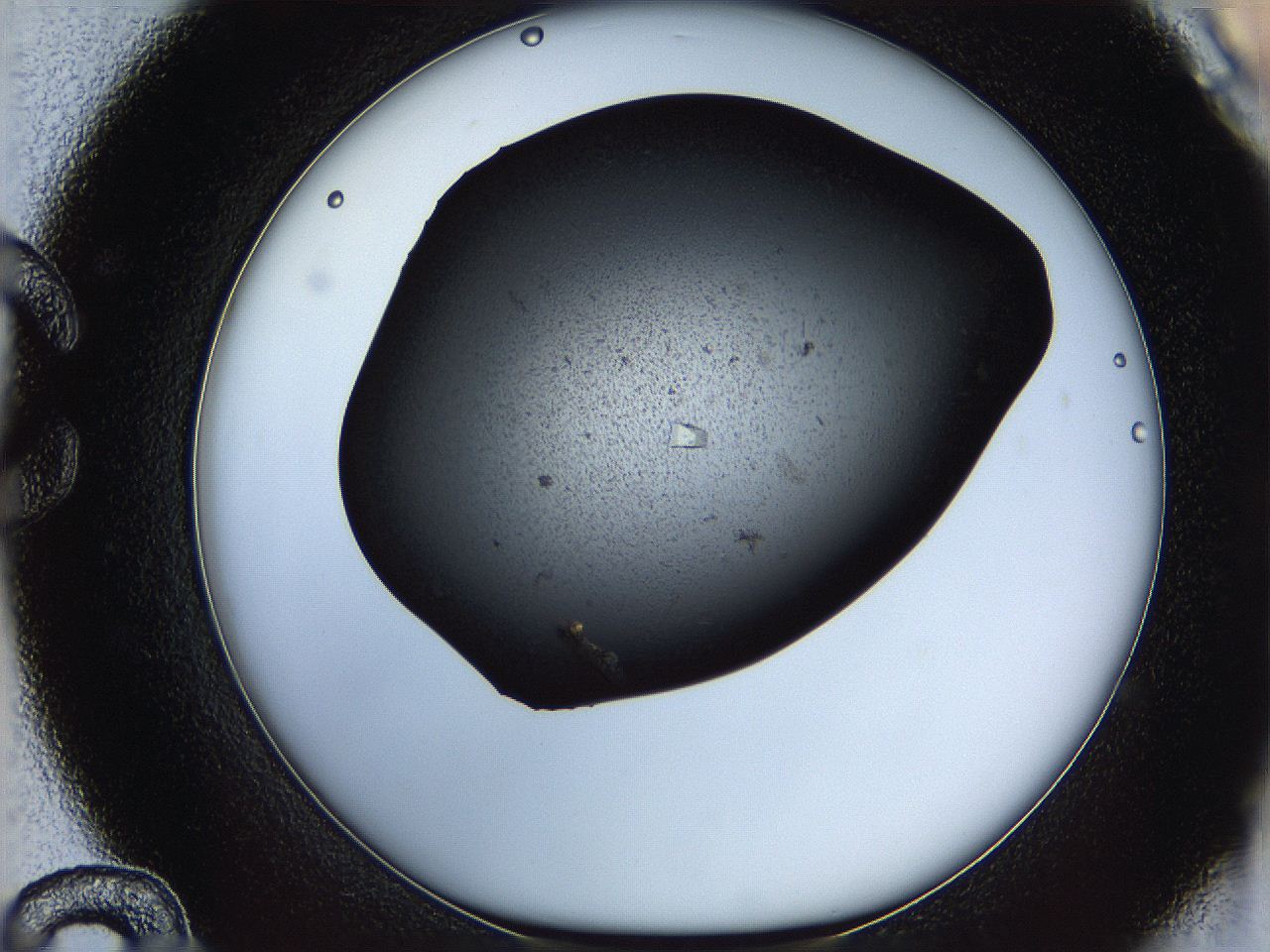 0630_C12_ImagerDefaults_7.jpg