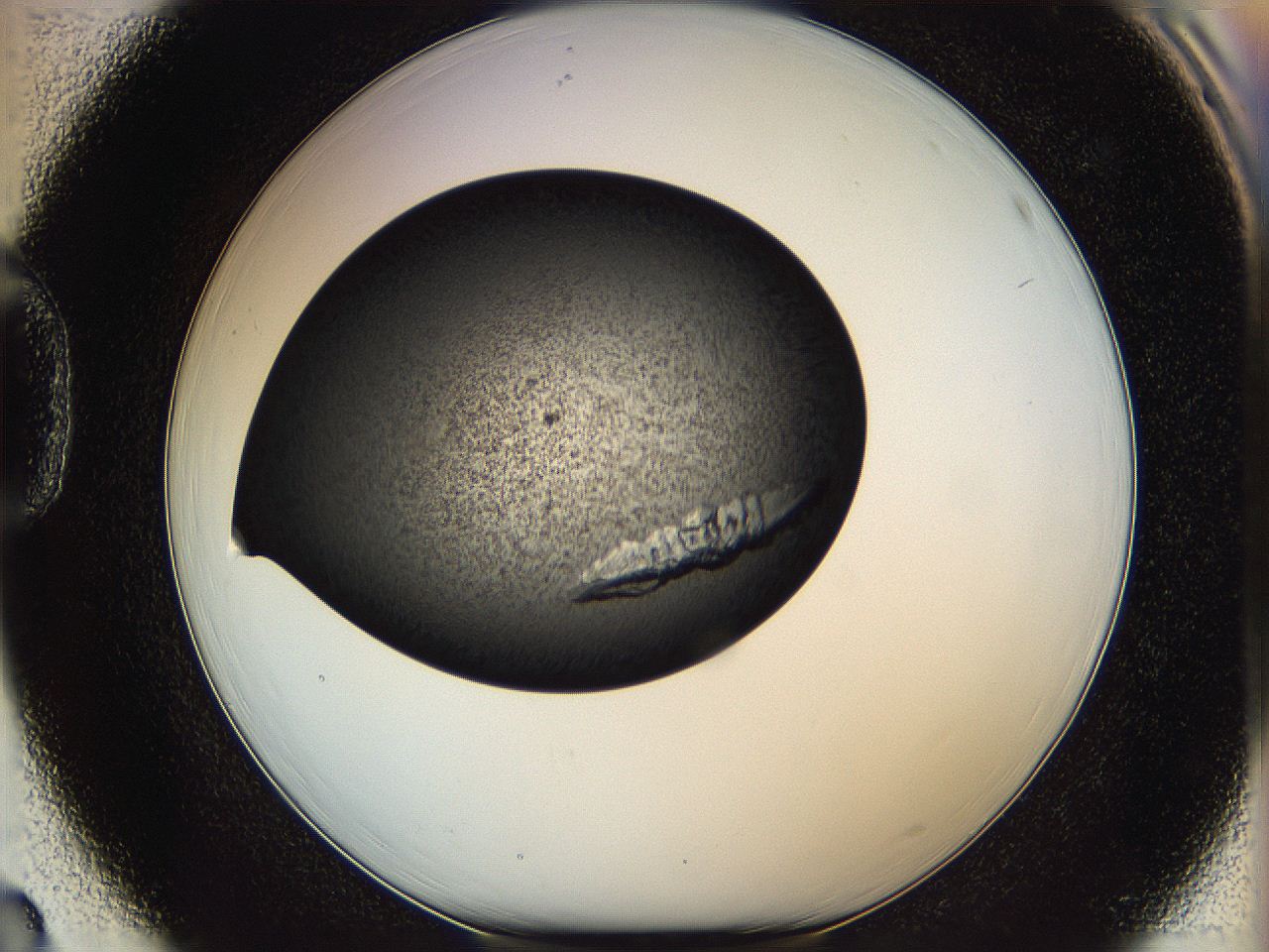 0630_D3_ImagerDefaults_9.jpg