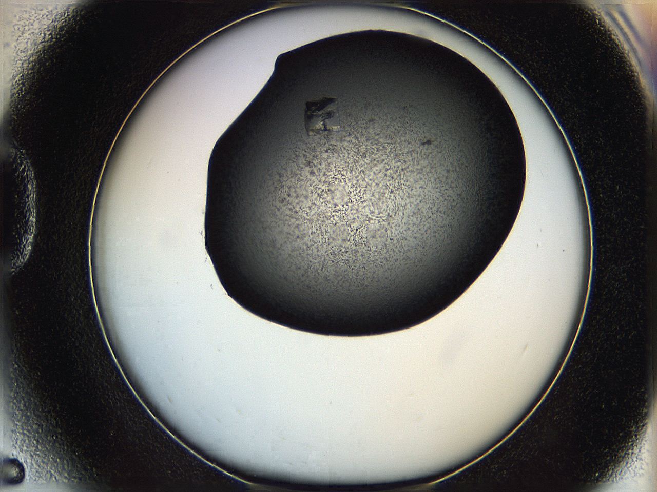 0630_D5_ImagerDefaults_9.jpg