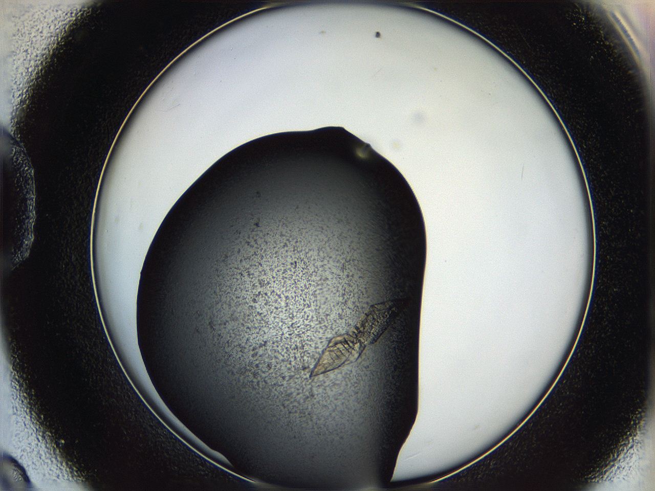 0630_D9_ImagerDefaults_9.jpg