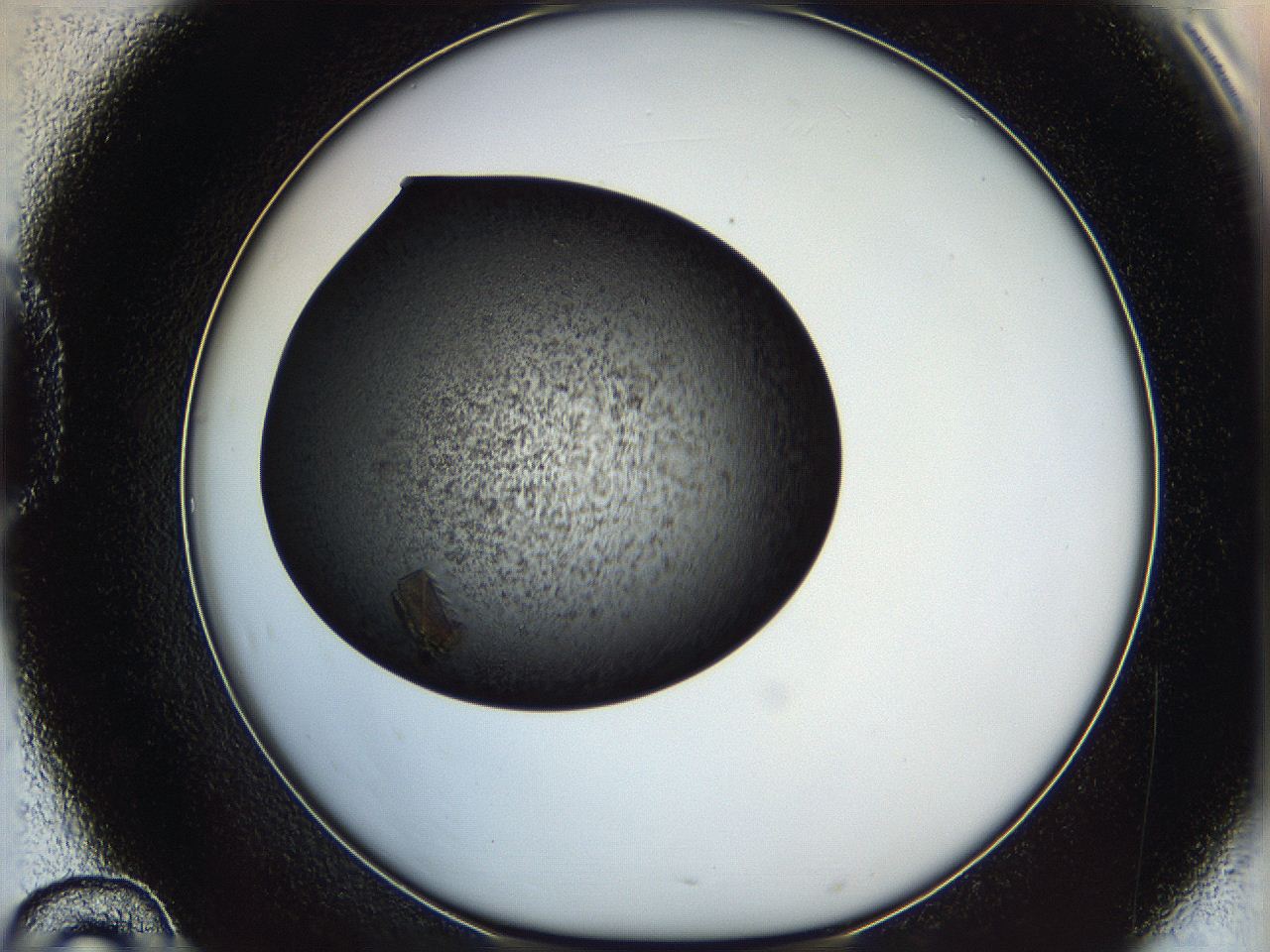 0630_D10_ImagerDefaults_9.jpg