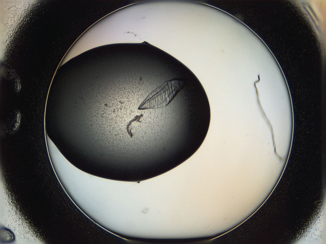 0630_C6_ImagerDefaults_9.jpg
