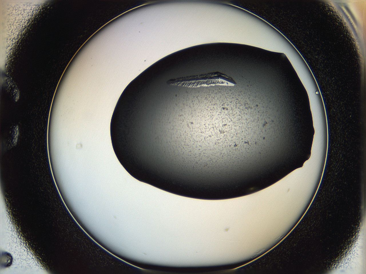 0630_C5_ImagerDefaults_9.jpg