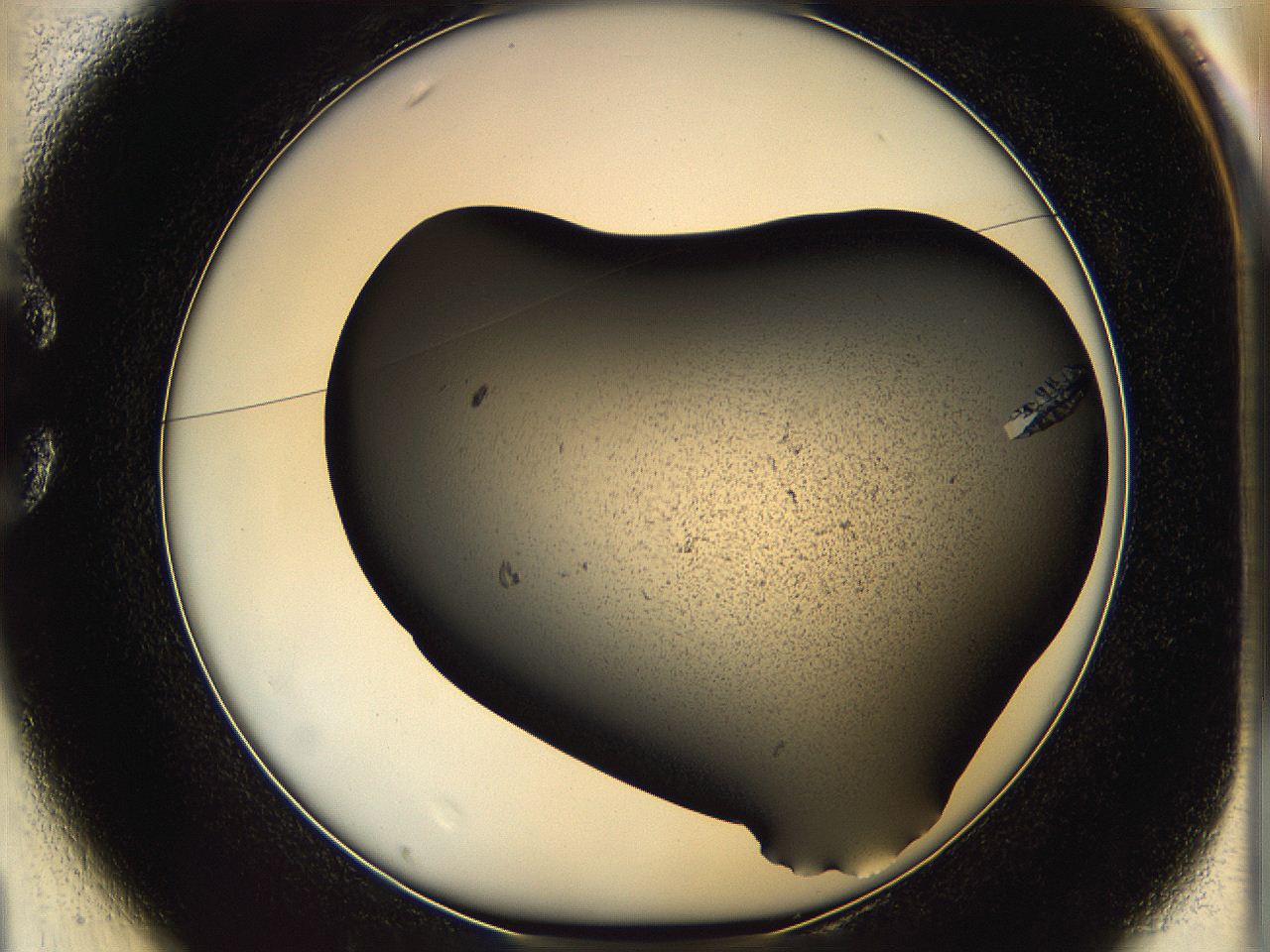 0630_C1_ImagerDefaults_9.jpg