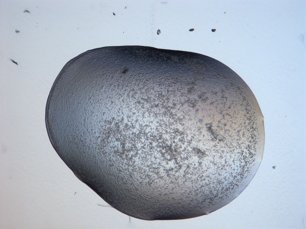 0631_B12_ImagerDefaults_3.jpg