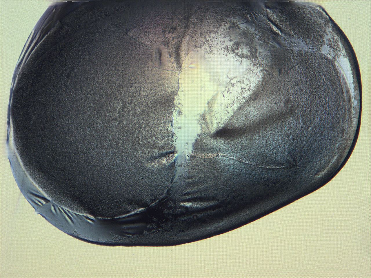 0631_D1_ImagerDefaults_3.jpg