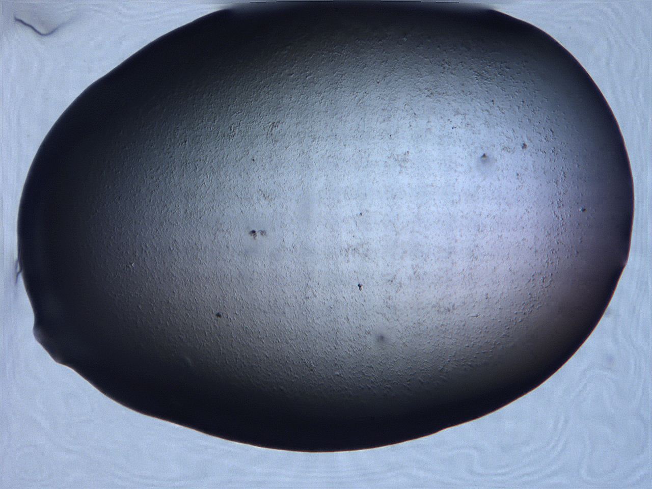0631_D3_ImagerDefaults_0.jpg