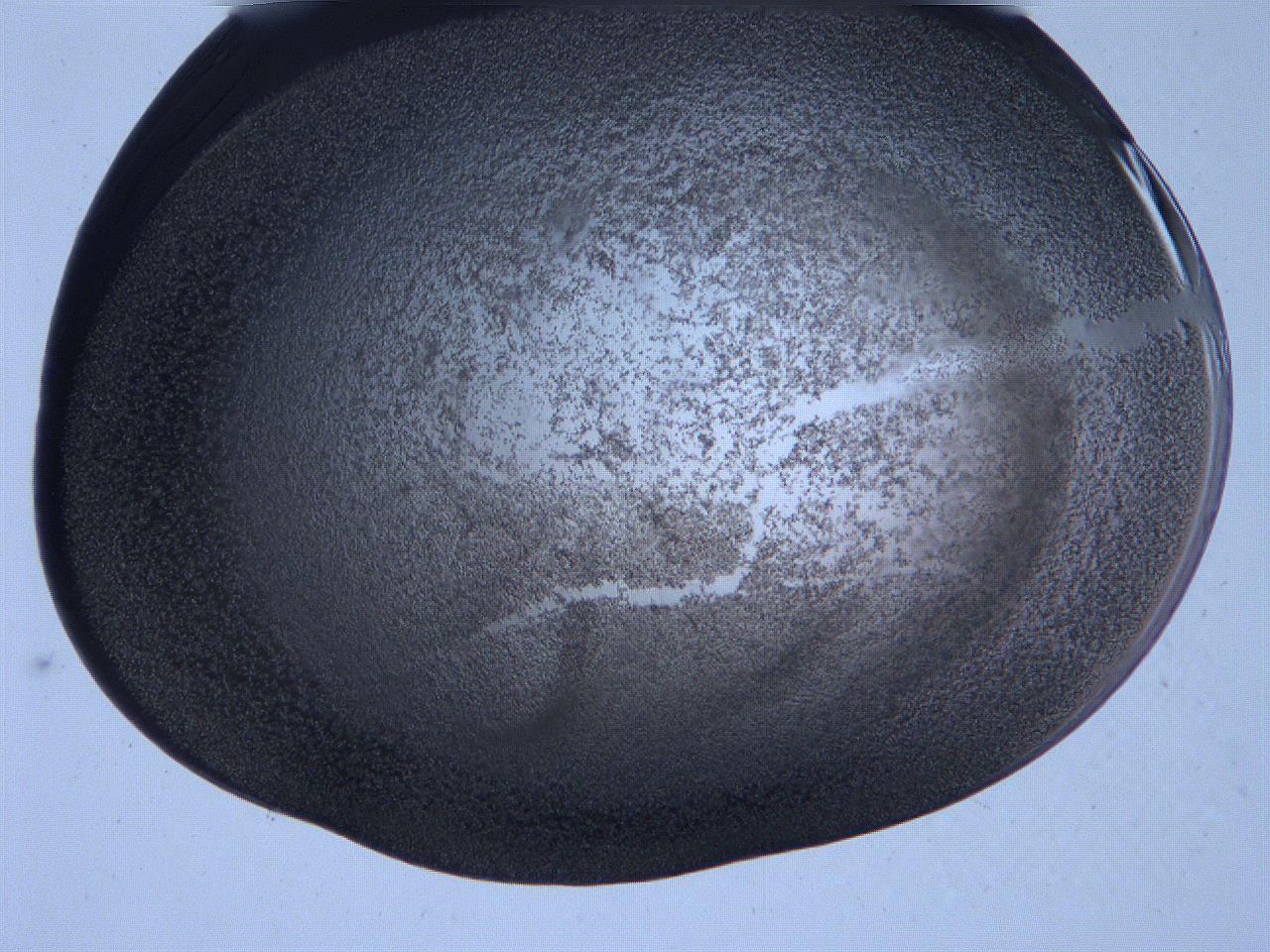 0631_D9_ImagerDefaults_3.jpg