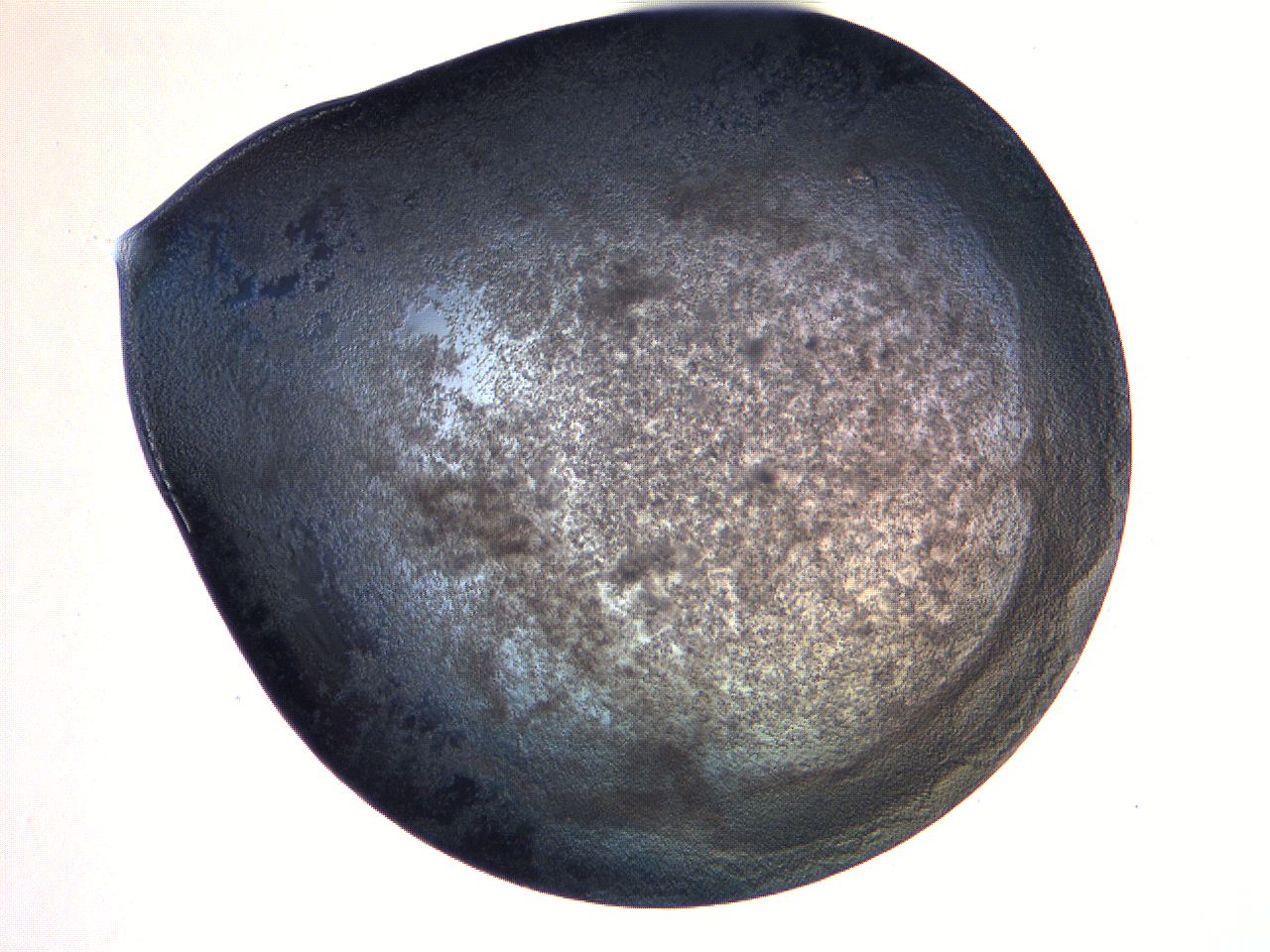 0631_D12_ImagerDefaults_3.jpg