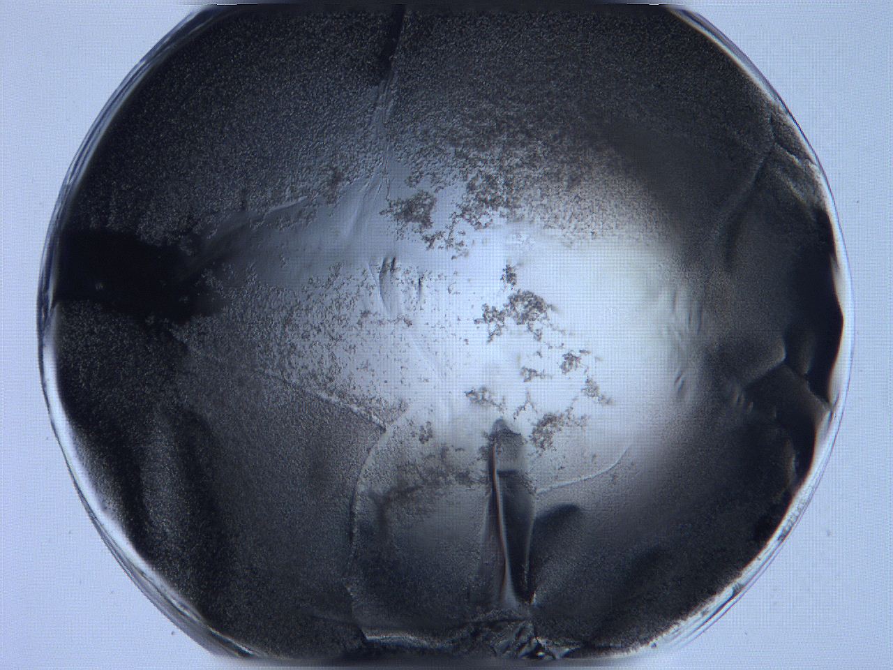 0631_D10_ImagerDefaults_3.jpg