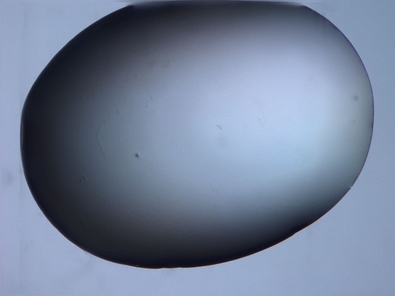 0631_C2_ImagerDefaults_0.jpg