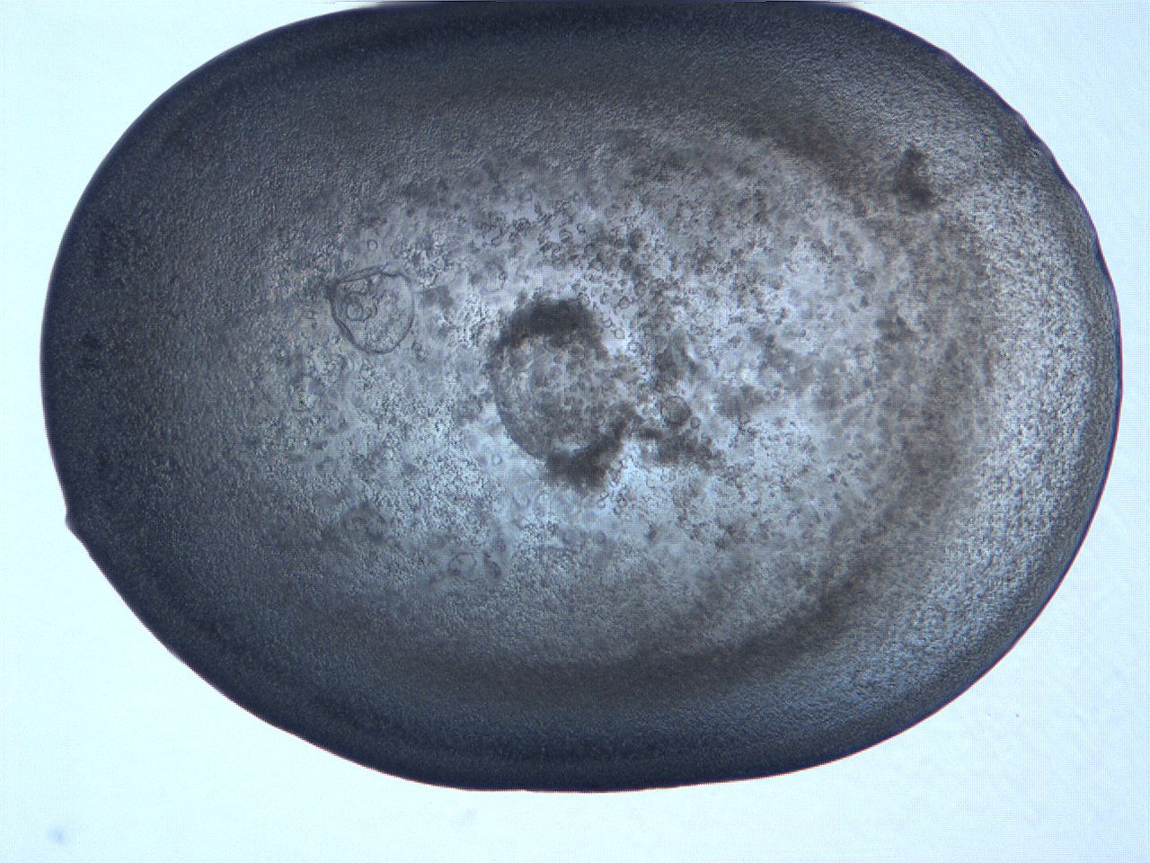 0631_C5_ImagerDefaults_3.jpg