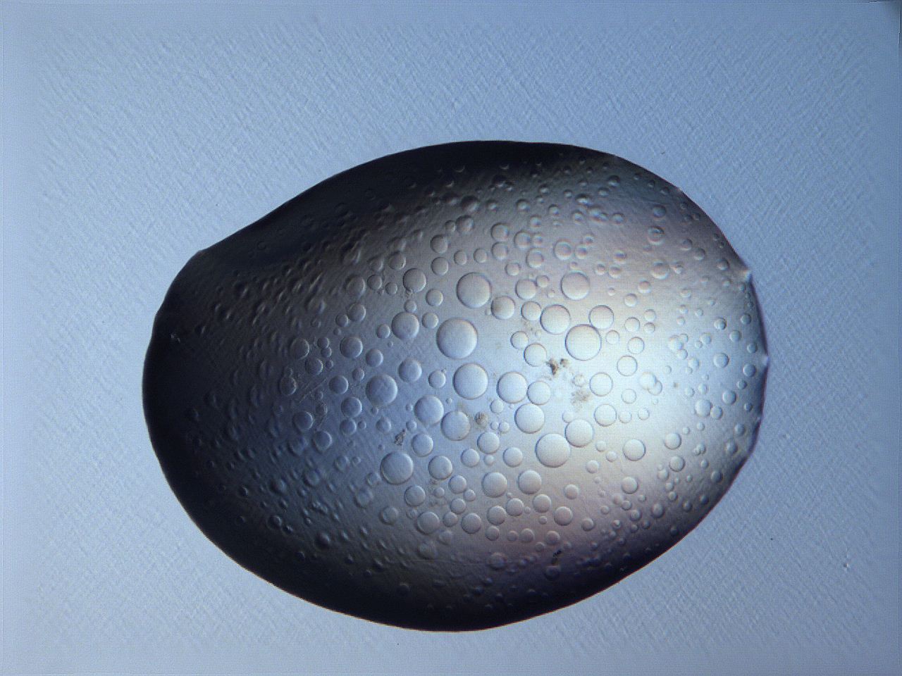 0631_C6_ImagerDefaults_0.jpg