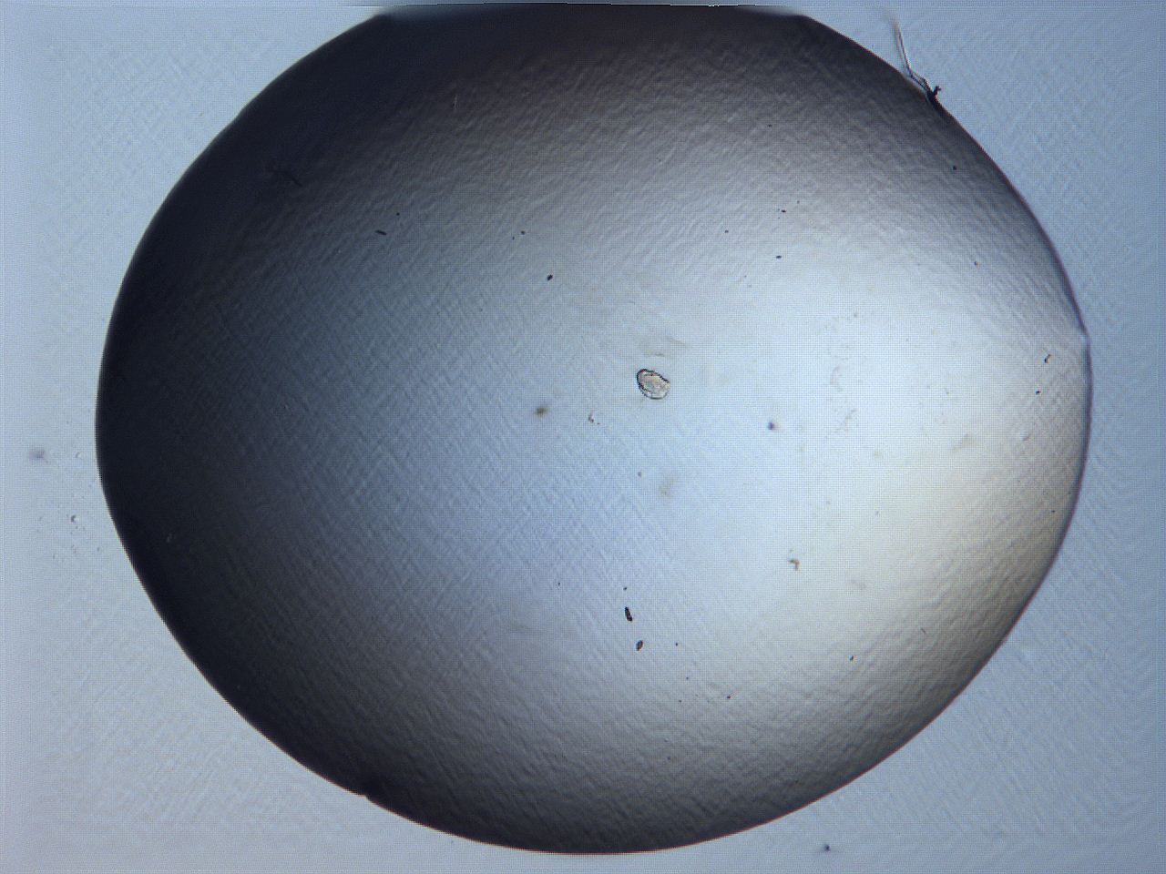 0631_C7_ImagerDefaults_0.jpg