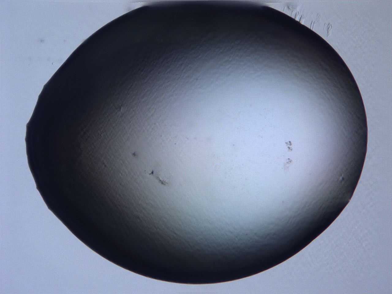 0631_C11_ImagerDefaults_0.jpg