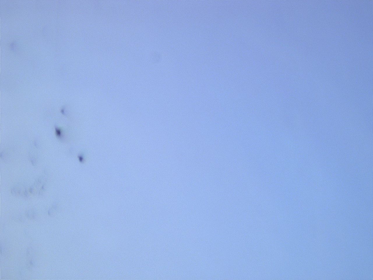 0631_B4_ImagerDefaults_9.jpg