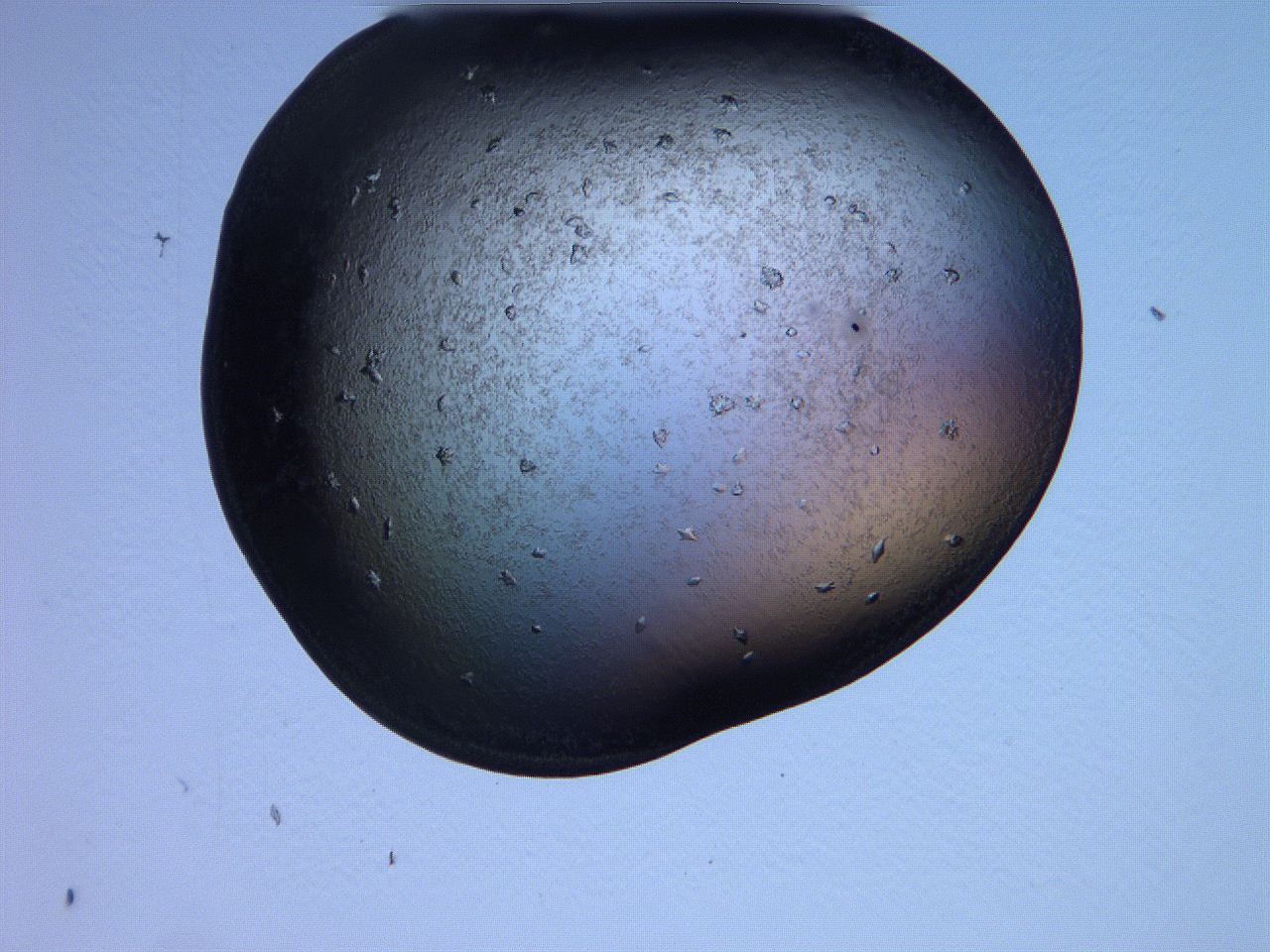 0631_B5_ImagerDefaults_6.jpg