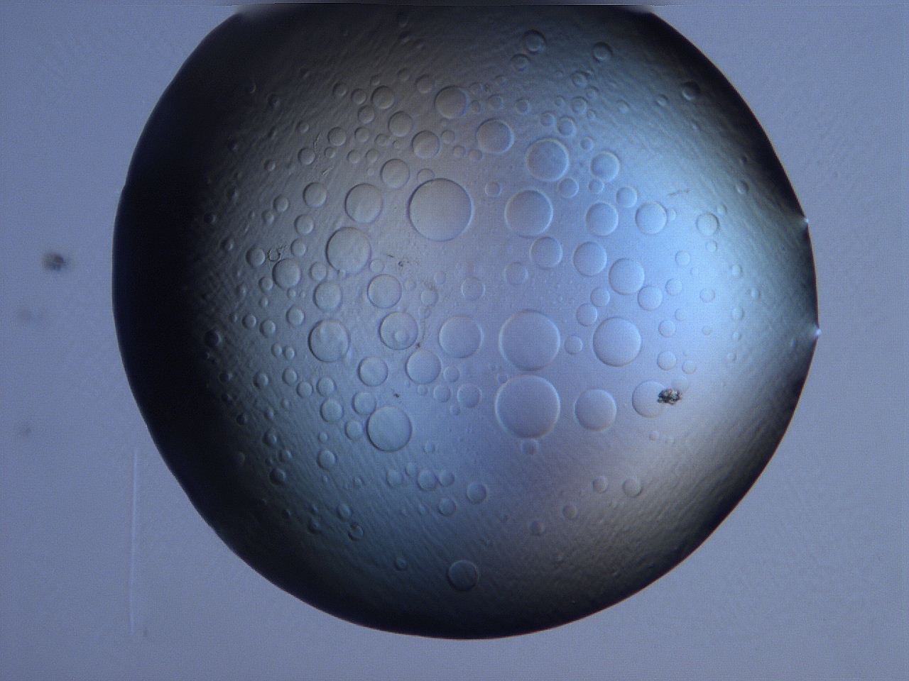 0631_B6_ImagerDefaults_0.jpg