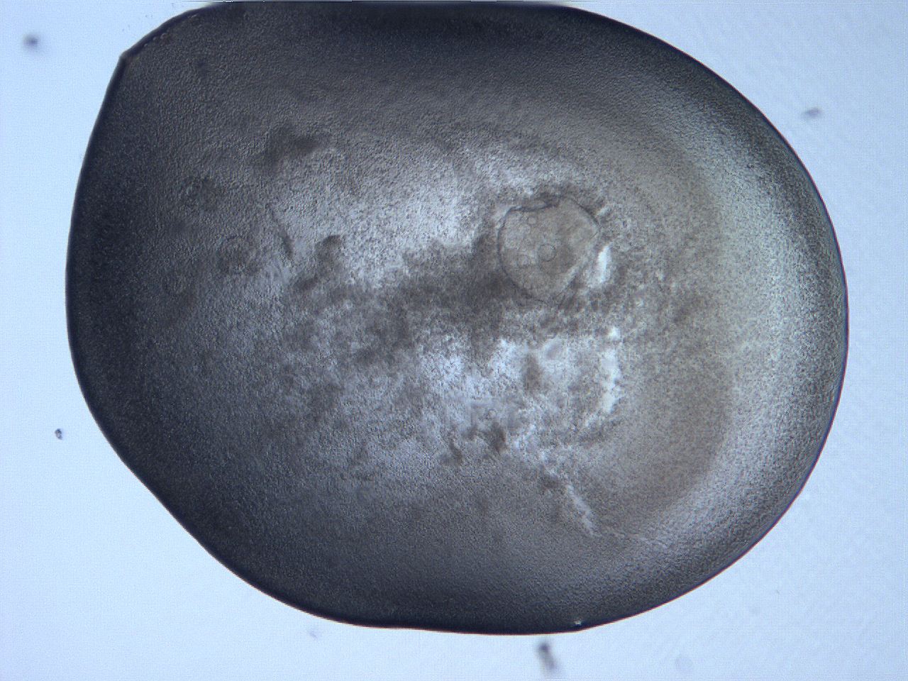 0631_B9_ImagerDefaults_3.jpg