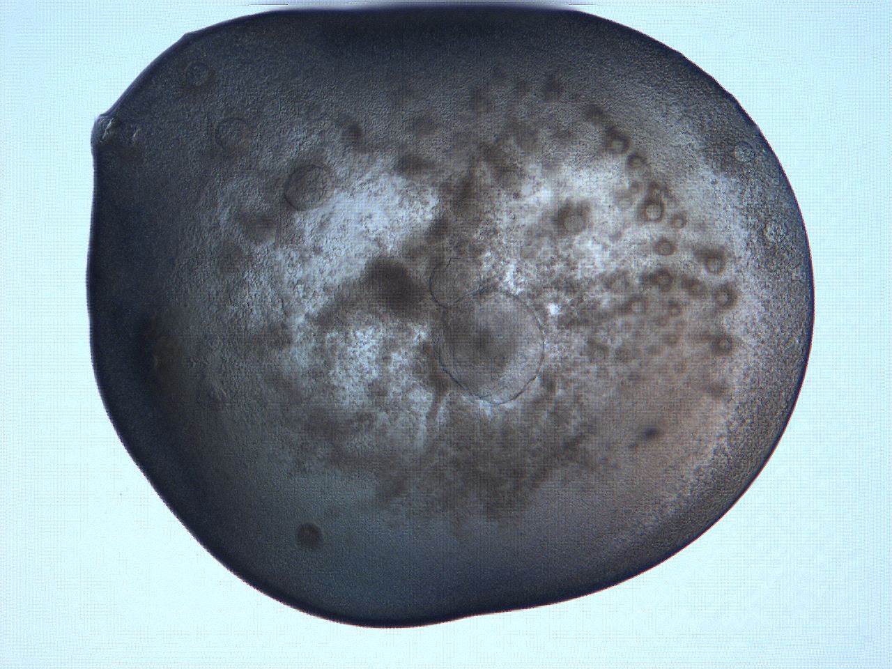 0631_B11_ImagerDefaults_3.jpg