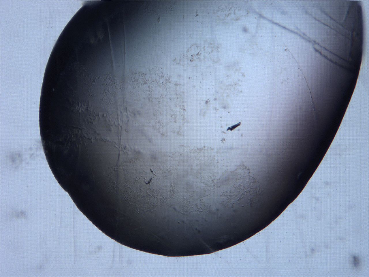 0631_E3_ImagerDefaults_0.jpg