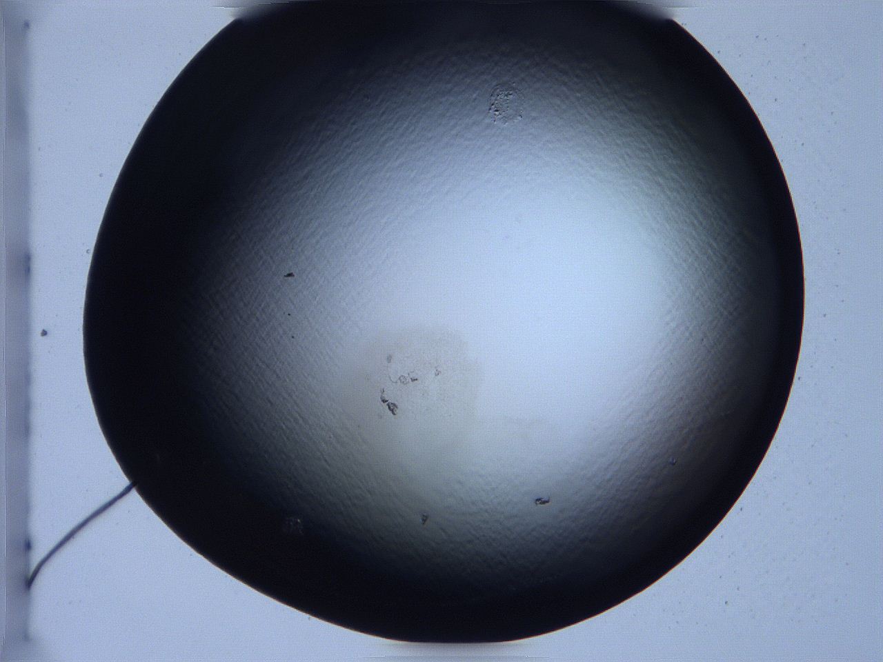 0631_E5_ImagerDefaults_0.jpg
