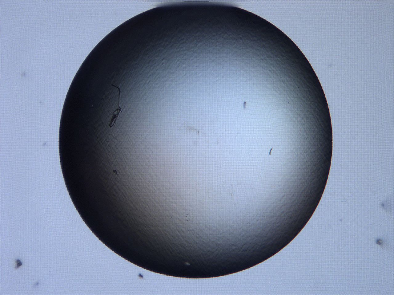 0631_E8_ImagerDefaults_0.jpg