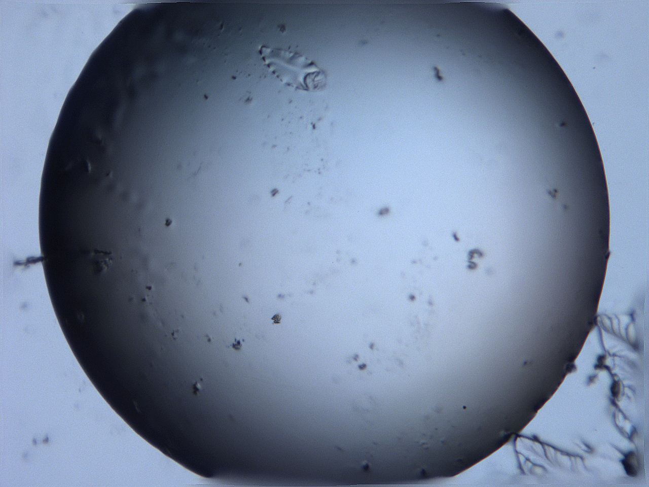 0631_F3_ImagerDefaults_0.jpg