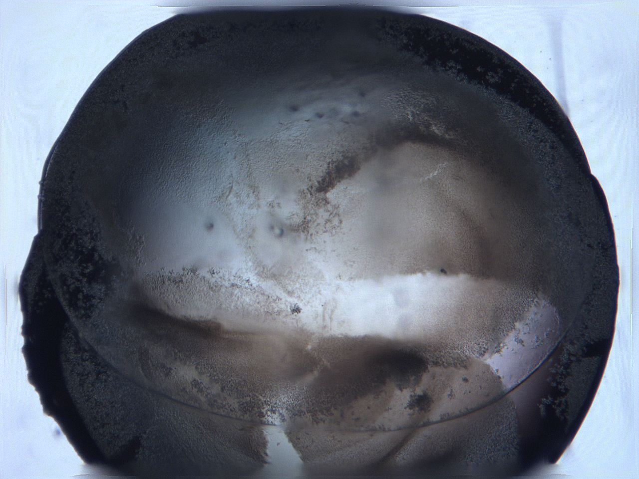 0631_F4_ImagerDefaults_3.jpg