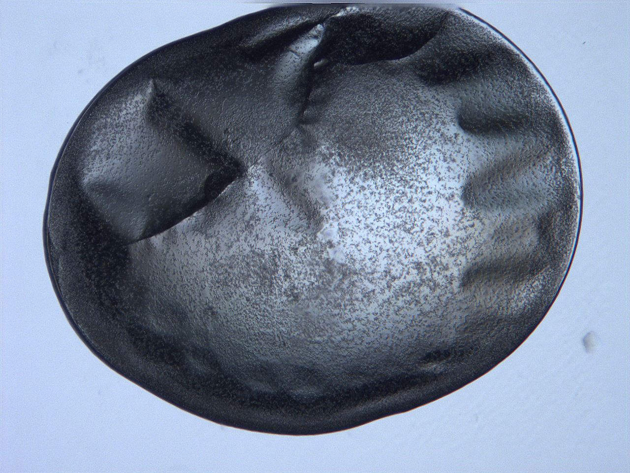 0631_F6_ImagerDefaults_3.jpg