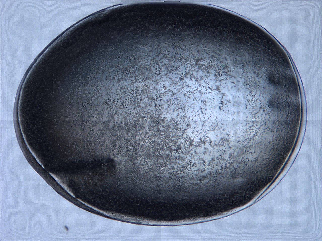 0631_F8_ImagerDefaults_3.jpg