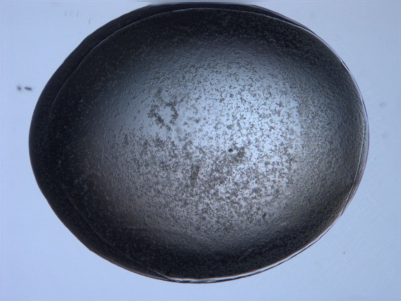 0631_F9_ImagerDefaults_3.jpg