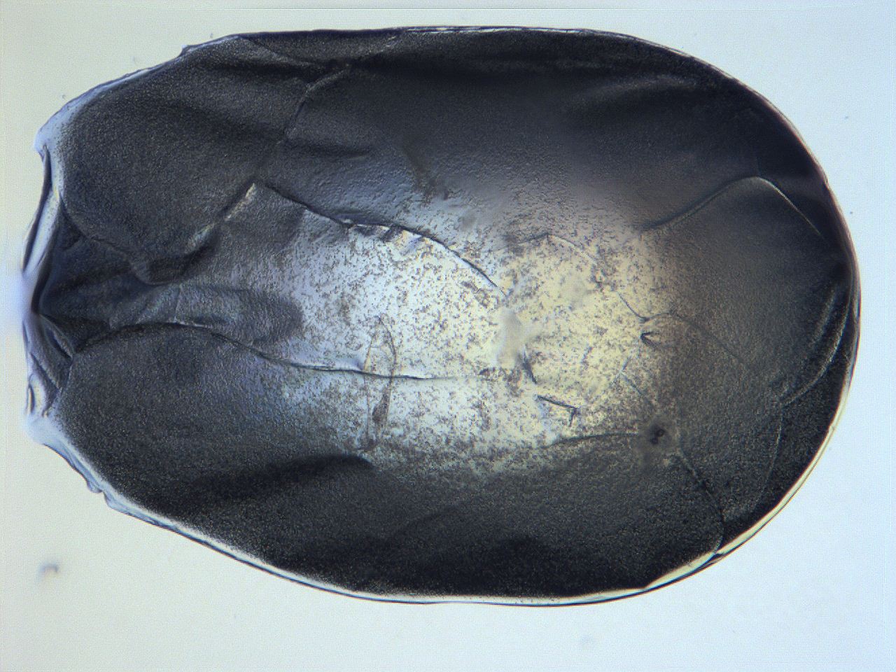 0631_F12_ImagerDefaults_3.jpg