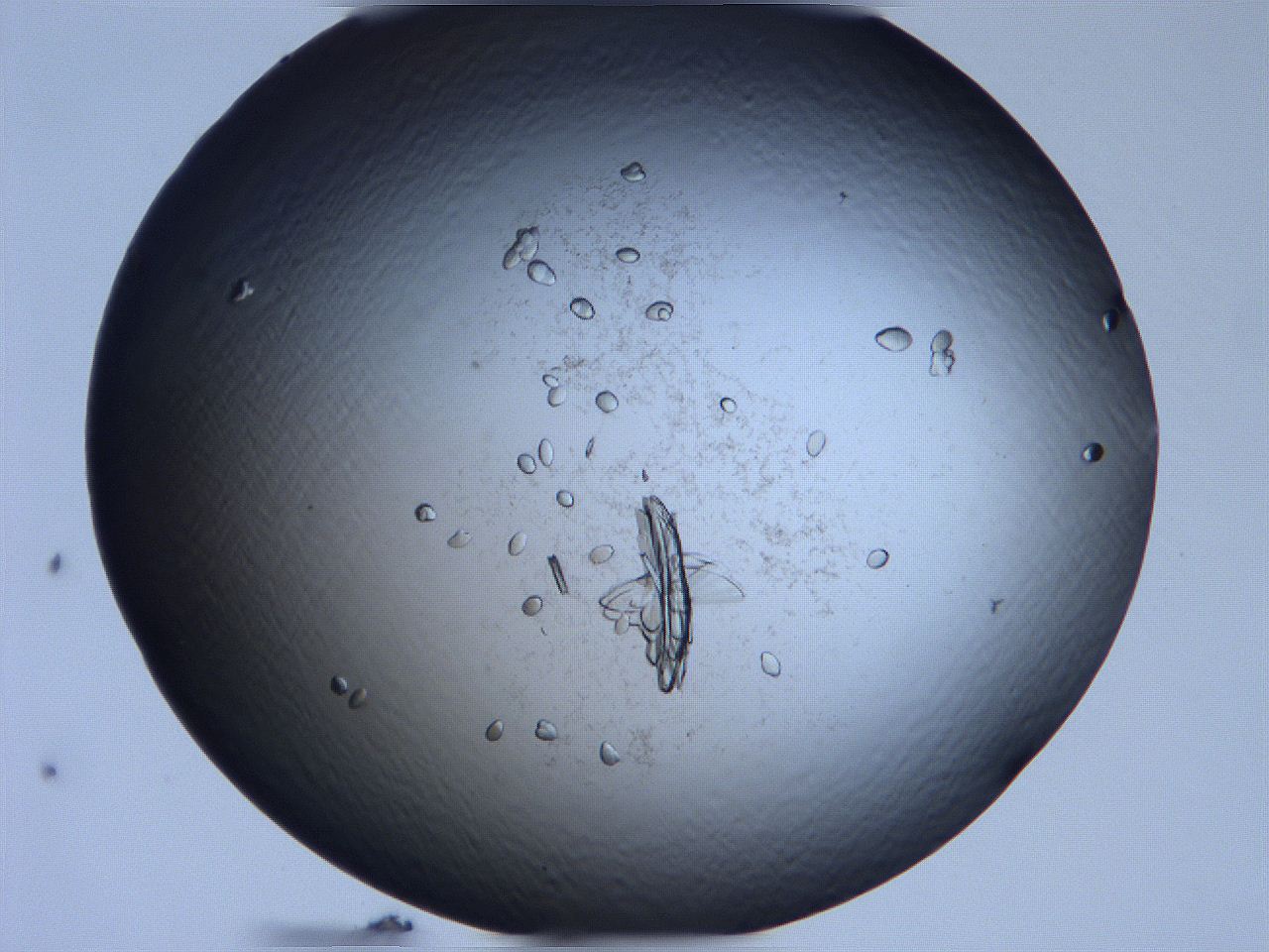 0631_H10_ImagerDefaults_9.jpg