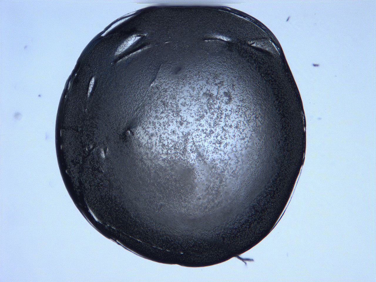 0631_H11_ImagerDefaults_3.jpg