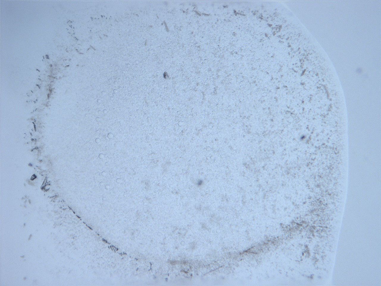 0632_A2_ImagerDefaults_0.jpg