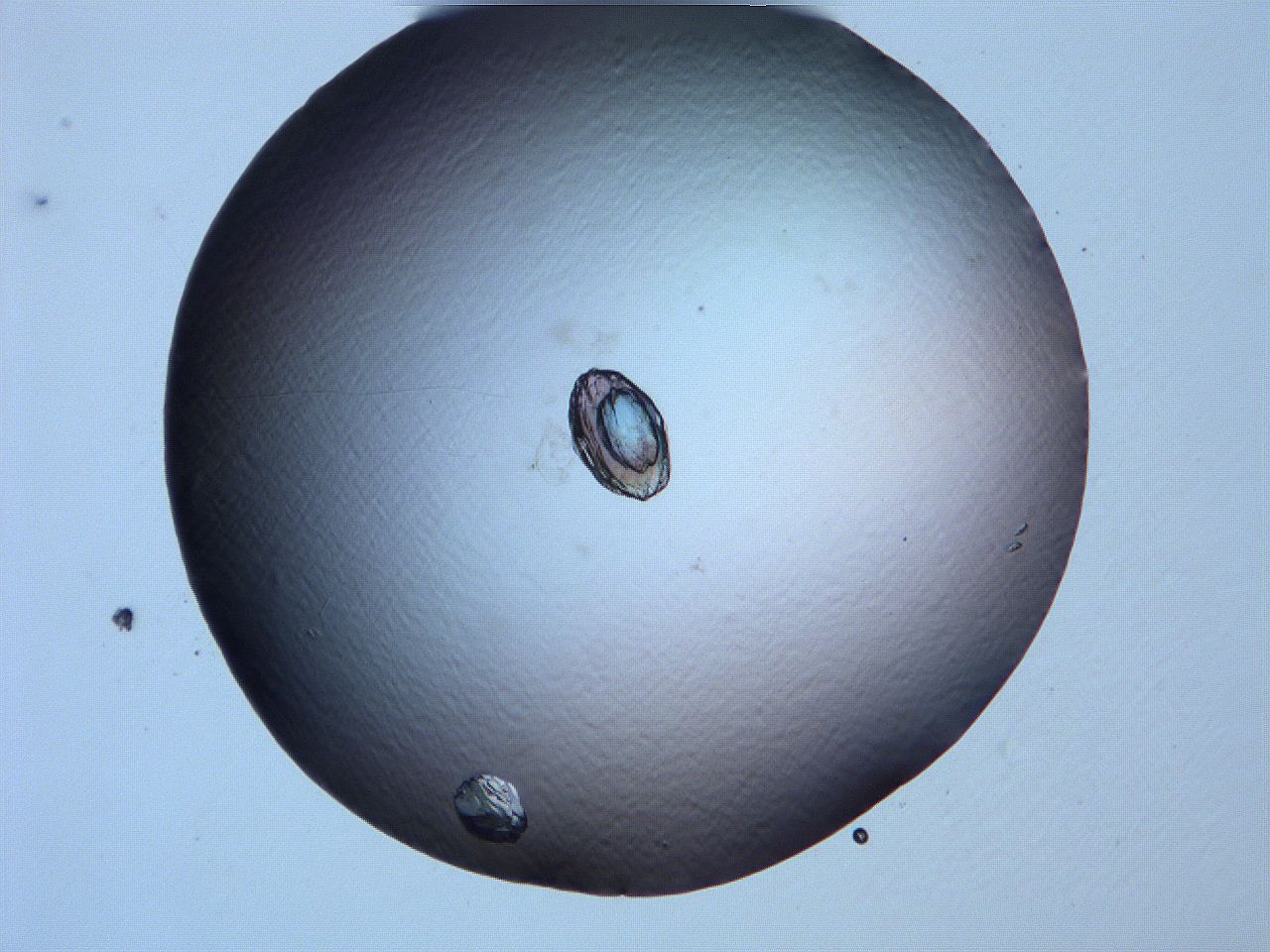 0632_A3_ImagerDefaults_9.jpg