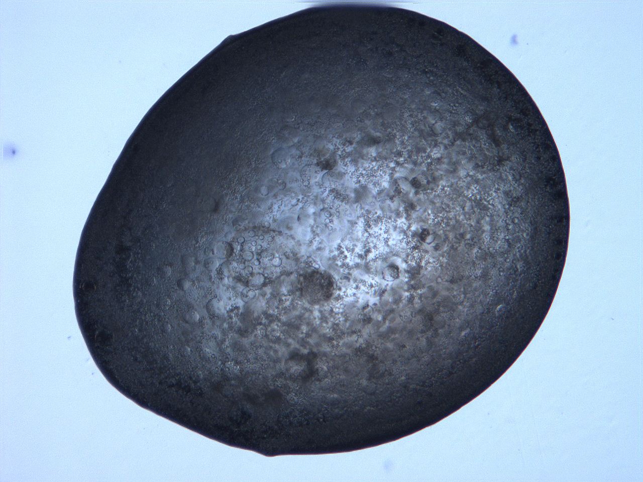 0632_A11_ImagerDefaults_3.jpg