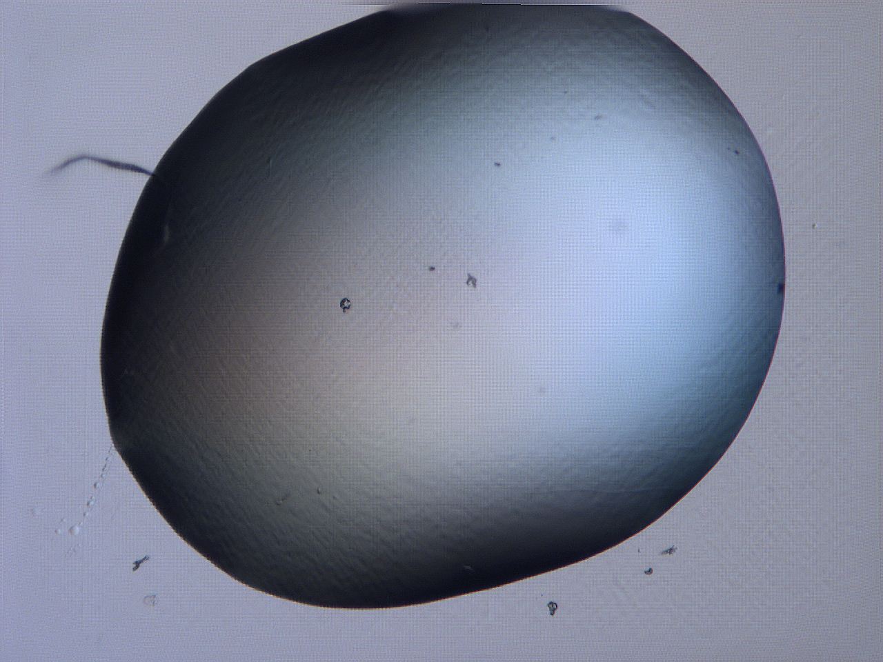 0632_B2_ImagerDefaults_0.jpg