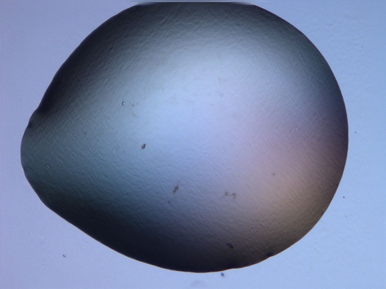 0632_B5_ImagerDefaults_0.jpg