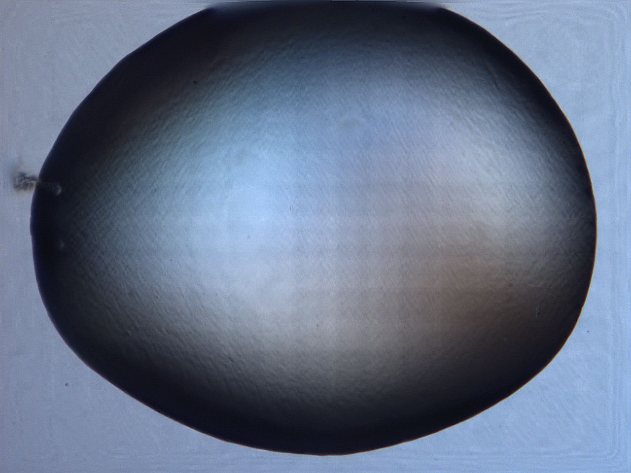 0632_B7_ImagerDefaults_0.jpg